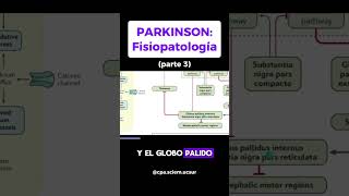 Fisiopato Parkinson [upl. by Jacobo171]