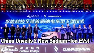 Two SodiumIon Battery EVs Launched in China [upl. by Ahserb844]