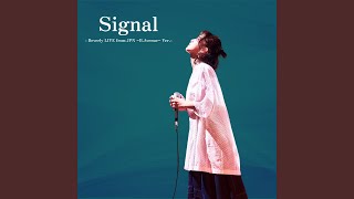 Signal  Beverly LIVE from JPN BAvenue Ver [upl. by Geesey638]