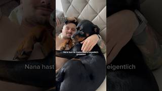 POV dein Hund klaut dir den Mann youtubeshorts [upl. by Akital879]