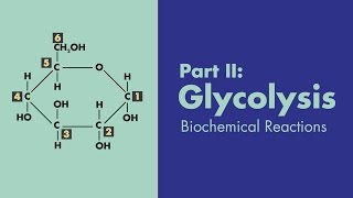 Glycolysis  Biochemical Reactions  MEDZCOOL [upl. by Derfnam]