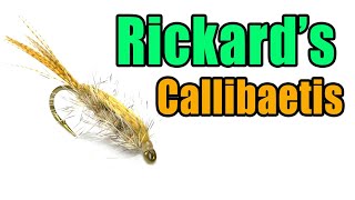 Rickards Callibaetis Nymph Fly Tying  Denny Rickards Fly Pattern [upl. by Esom72]