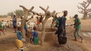 Sénégal Reportage sur le village de keur Samba Ka  Région de Kaolack [upl. by Questa]