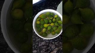 Kantola  Kankoda sabji  Spine gourd shorts food ytviral kantola [upl. by Hgiel]