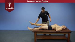 Pectineus Muscle Test Palpation Dr Vizniak Muscle Manual [upl. by Femi]