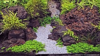 Choosing Aquarium Substrate Using Dirt in Planted Aquariums [upl. by Nonrev982]