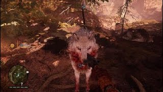 Taming The Snowblood Wolf  Part 9 FARCRY PRIMAL [upl. by Kolosick305]