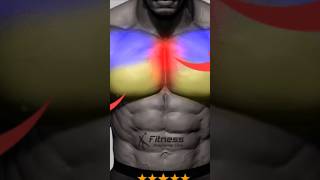 Best Chest Workout chestexcercise shorts youtubeshorts workout worko [upl. by Annodahs]