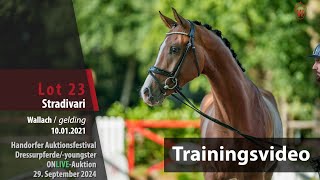 Auktionsfestival Training Lot 23 Stradivari Wallach v Sir Heinrich  Lugato [upl. by Aspia]