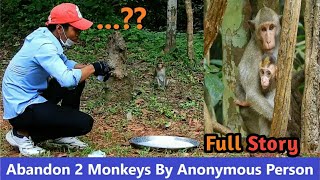 Breaking Heart Anonymous Person Abandoned 2 Pet Monkeys Into Wild Troop And VO Gives Fresh Milk [upl. by Jezabelle]