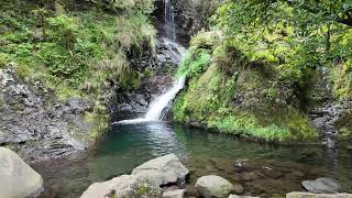 💦🏞️Madeira Island  Walk to waterfall near the quotRibeiro Frioquot village  4k60fps [upl. by Silver]