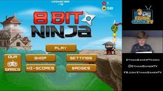 Ethan plays 8BIT NINJA [upl. by Joelly]