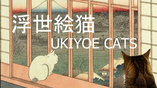 浮世絵猫 UKIYOE CATS [upl. by Joelie714]