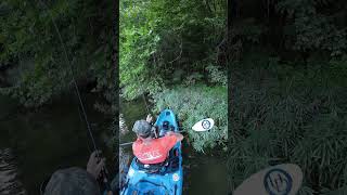 Smallmouth Bass on Crooked Creek  Kayak Fishing  Bonafide RVR 119  Nature [upl. by Jana]