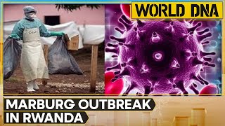 Marburg Outbreak Claims Six Lives In Rwanda  World DNA  World News  Latest English News  WION [upl. by Oakes]