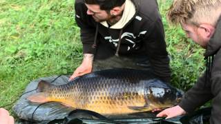 Ollie Pullens Medway Valley common [upl. by Tyne]