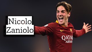 Nicolo Zaniolo  Skills and Goals  Highlights [upl. by Adnawuj]