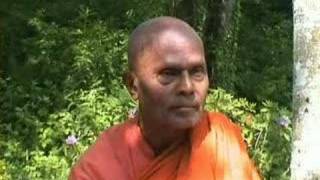 Bhante Gunaratana 20 Mindful Listening [upl. by Tawnya931]