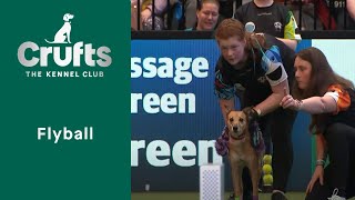 Flyball Competition Young Kennel Club Flyball Finals followed by the Quarter Finals  Crufts 2023 [upl. by Marozik718]