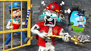 PAW Patrol The Movie 68 ► Oh My God Marshall try Hardest Escape From Ryders The Prison Challenge [upl. by Horsey960]