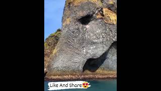 Elephant Rock is a natural rock near Heimaey islandIceland traveltaleswithnutan traveling [upl. by Eiger174]