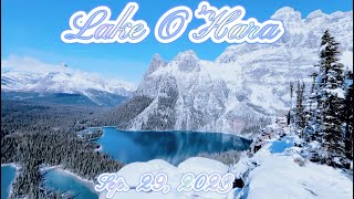 Lake O’Hara [upl. by Maleki300]