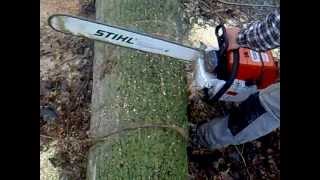 motosega stihl ms880 in taglio pioppo [upl. by Robbins]