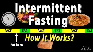 Intermittent Fasting  How it Works Animation [upl. by Nohpets]