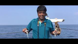 Pelagic Birding Trip Off Munambam Kerala India on 21st Oct 2018 [upl. by Sabian493]