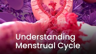 Understanding Menstrual Cycle Through 3D Animation [upl. by Lucrece]