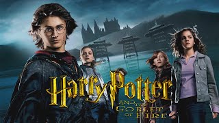 Harry Potter E Il Calice Di Fuoco Recensione E Analisi Del Film  Hogwarts Party [upl. by Aronid954]