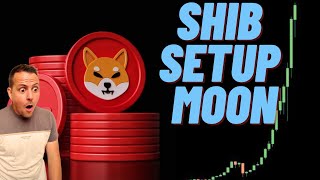 Shiba Inu Setup [upl. by Sivrat7]