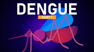 Dengue Explained in 5 Minutes [upl. by Tserrof]