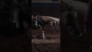 Reining edit 💪 horse reining equestrian edit fypシ゚ rodeo foryou fy horselover [upl. by Petty]