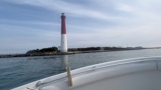 Barnegat Light Tog Fishing Reaper Field Trip [upl. by Ecinnahs]