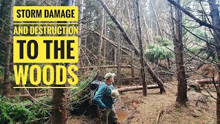 STORM ARWEN DAMAGE AT HARWOOD FOREST checking on camp [upl. by Nivan517]