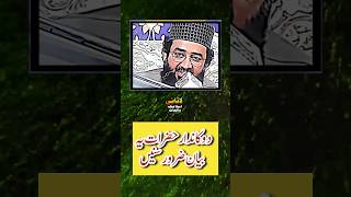 Dukandar Hazrat Ye Bayan Zaroor Sunen waqiats islamicpreacher islamicwaqiyat islamicvideo [upl. by Hanavas]