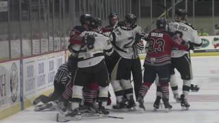 11616 Kalamazoo Wings Vs Wheeling Nailers Highlights [upl. by Ydualc]