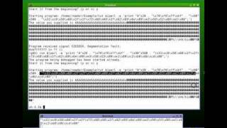 Buffer Overflow Tutorial  Part 8 [upl. by Buff651]