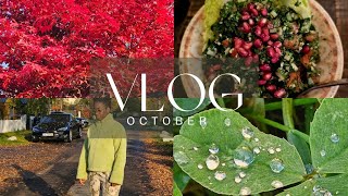 Vibing Out To Chill RnB In October 🍂 vlog [upl. by Jurgen645]