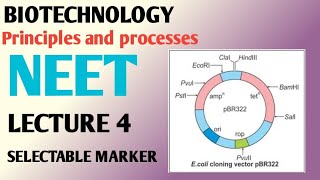 BIOTECHNOLOGY  PRINCIPLES AND PROCESSES Lecture 4 SELECTABLE MARKER Ncert 12 [upl. by Alodi]