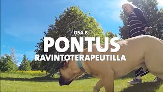 Evidensia Pentupäiväkirjat – Osa 8 Pontus ravintoterapeutilla [upl. by Anelej]