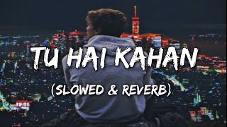 Chaal chal tu apni me tujhe pehchan lunga Slowed  Reverb Lyrics  Tu Hai Kahan [upl. by Ver]