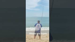 Cardume de cação viola Massaguaçu incrível a força e emoção de fisgar esse monstro fishing pesca [upl. by Suu]