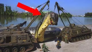 9 Biggest Snakes In The World [upl. by Randal]