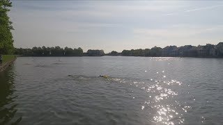 Open water swimming brings challenges you dont get in the pool [upl. by Stu]