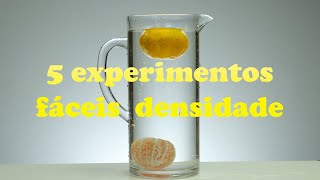 5 EXPERIMENTOS de FÍSICA densidade que você pode fazer em casa [upl. by Rosalyn]