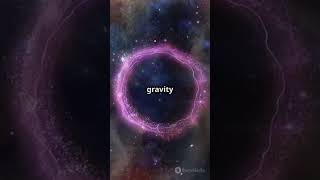 Quantum Gravity Explained  science physics quantumphysics gravity einstein foryou facts [upl. by Enyalahs857]