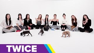 TWICE The Puppy Interview [upl. by Nibbs938]