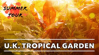 UK Tropical Jungle Garden Summer Tour 2022  Drought Filler Plants amp Design Ideas [upl. by Remle63]